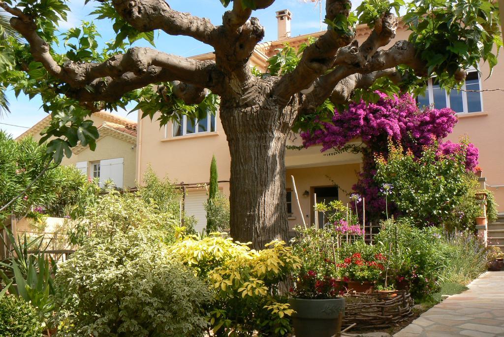 L' Escale Tranquille Bed and Breakfast Sète Eksteriør billede