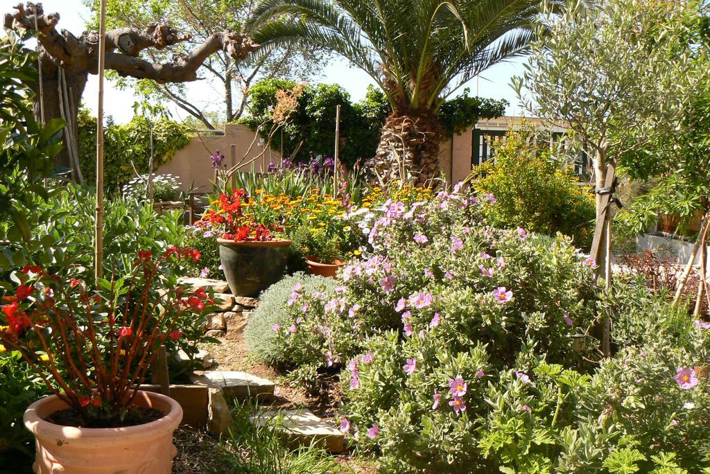 L' Escale Tranquille Bed and Breakfast Sète Eksteriør billede